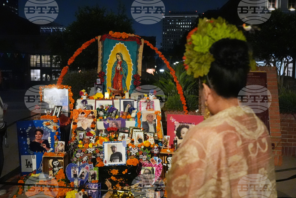 Dia De Los Muertos-Ofrendas