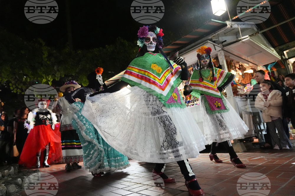 Dia De Los Muertos-Ofrendas
