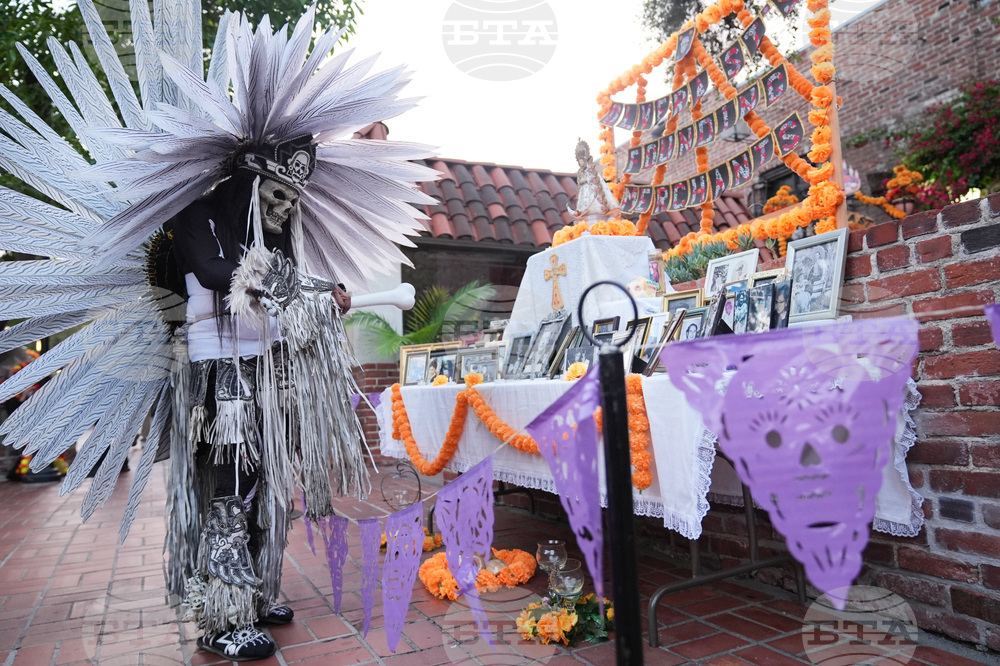 Dia De Los Muertos-Ofrendas