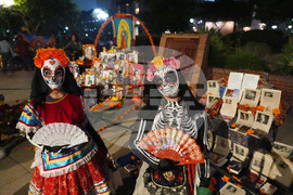 Dia De Los Muertos-Ofrendas
