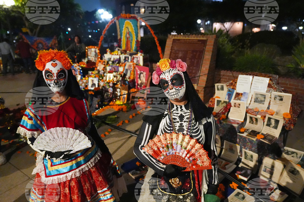 Dia De Los Muertos-Ofrendas