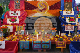 Dia De Los Muertos-Ofrendas