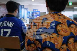 Japan World Series Baseball