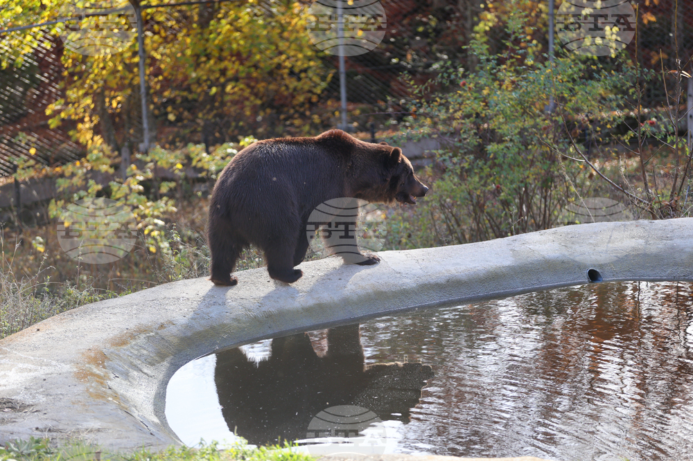 Brigitte Bardot Will Forever Remain Woman Who Turned Belitsa Into Place of Hope