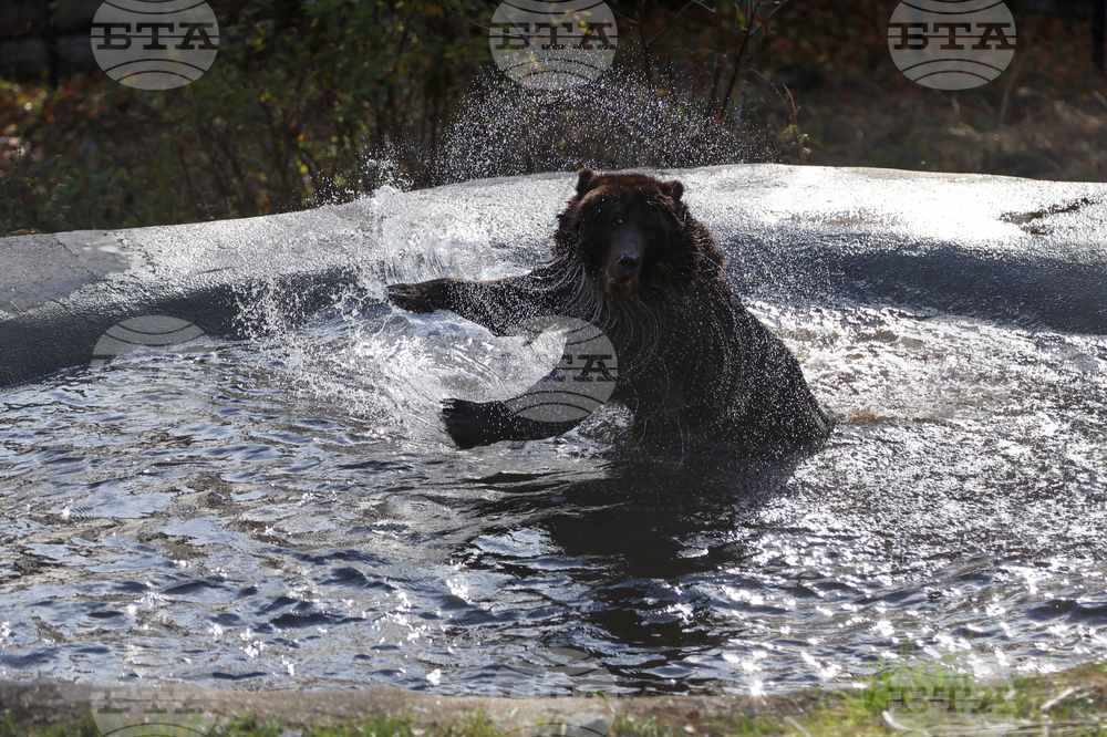 Белица - Парк за мечки - нови обитатели