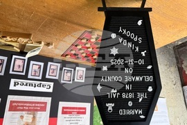 Jail Weddings Halloween