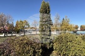 Самоков - ученически конкурс - награждаване