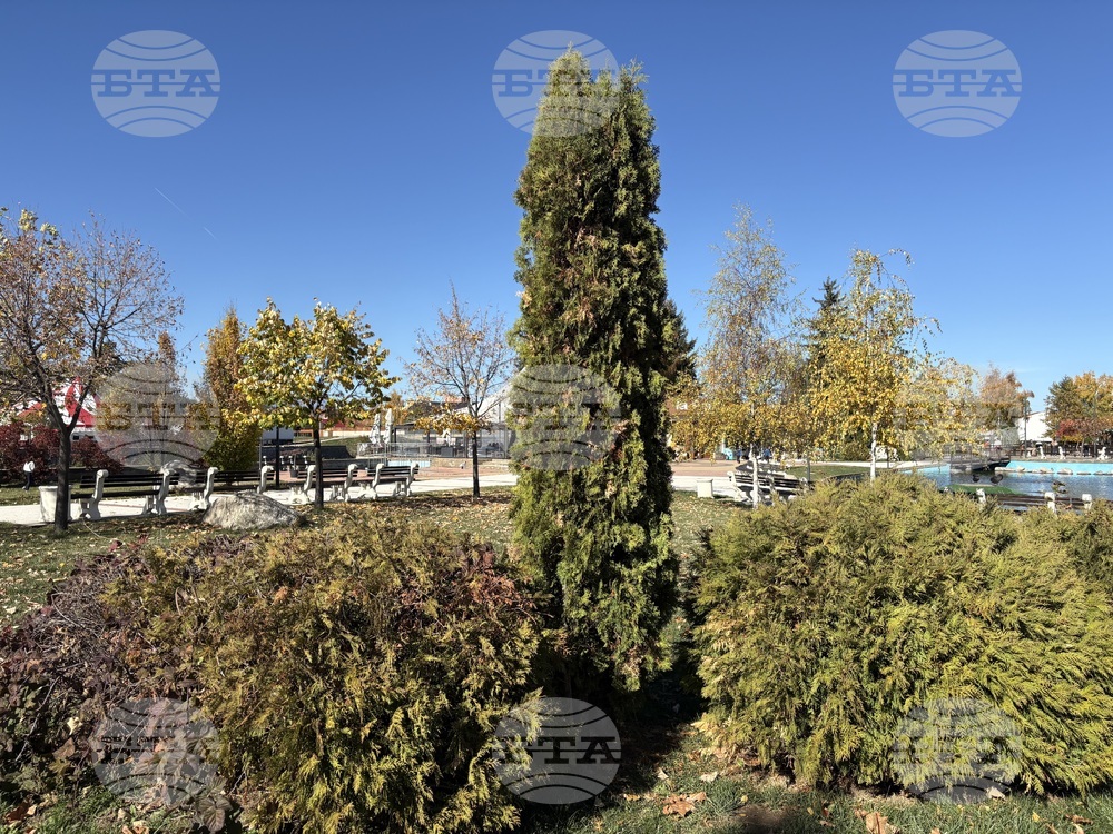 Самоков - ученически конкурс - награждаване