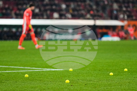 Germany Soccer Bundesliga