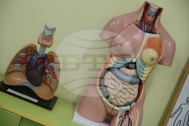 Разлог - училище - Ден на народните будители - тържество