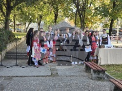 Петрич - Ден на народните будители - тържество