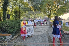 Петрич - Ден на народните будители - тържество