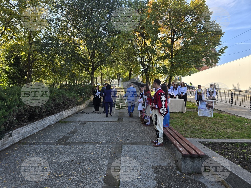 Петрич - Ден на народните будители - тържество