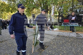 Петрич - Ден на народните будители - тържество