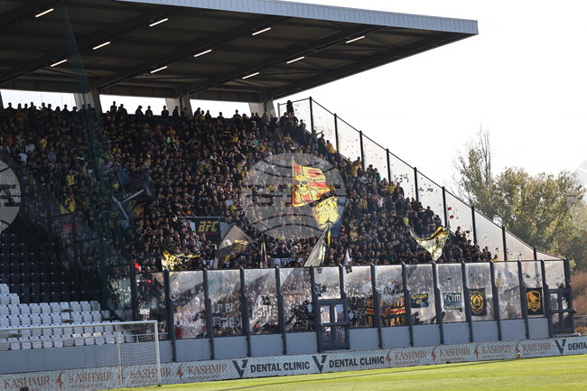 Ботев (Пловдив) пусна в продажба билетите за домакинството си на Добруджа