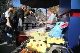 Сърбия - Нови Сад - шествие - тъжна годишнина