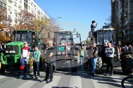 Сърбия - Нови Сад - шествие - тъжна годишнина