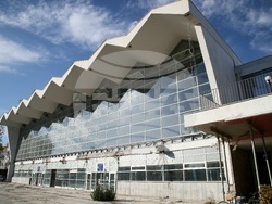 Сърбия - Нови Сад - шествие - тъжна годишнина