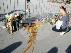 Сърбия - Нови Сад - шествие - тъжна годишнина