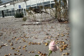 Сърбия - Нови Сад - шествие - тъжна годишнина