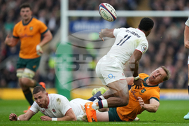 England Australia Rugby