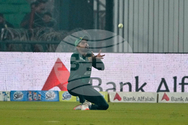 Pakistan South Africa Cricket