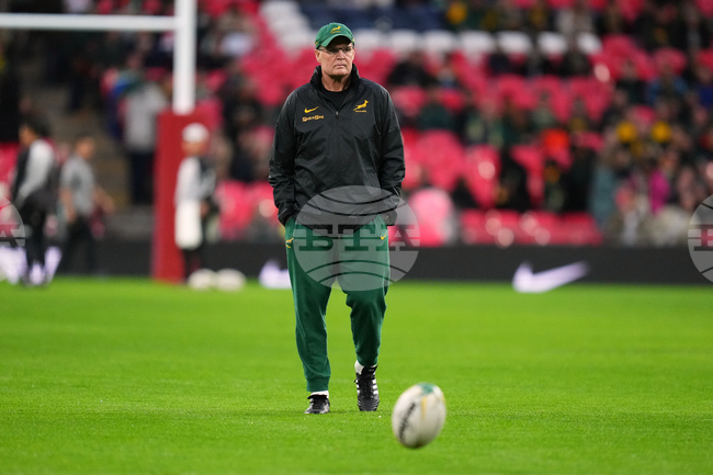 South Africa Japan Rugby