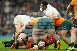 England Australia Rugby