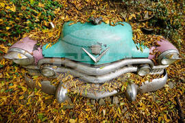 AP Top Photos of the Month October 2025