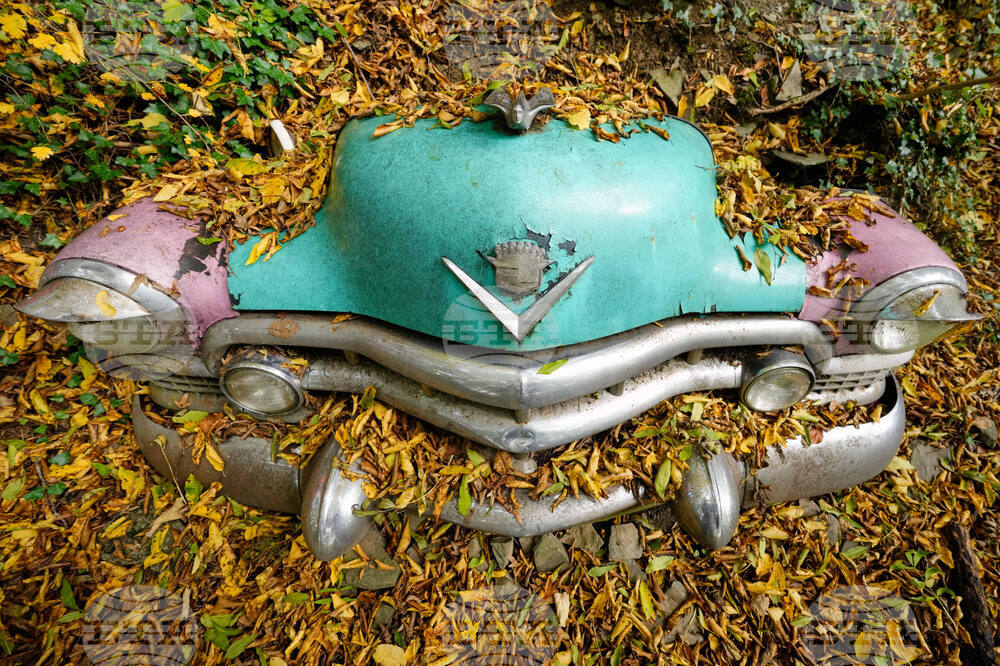 AP Top Photos of the Month October 2025