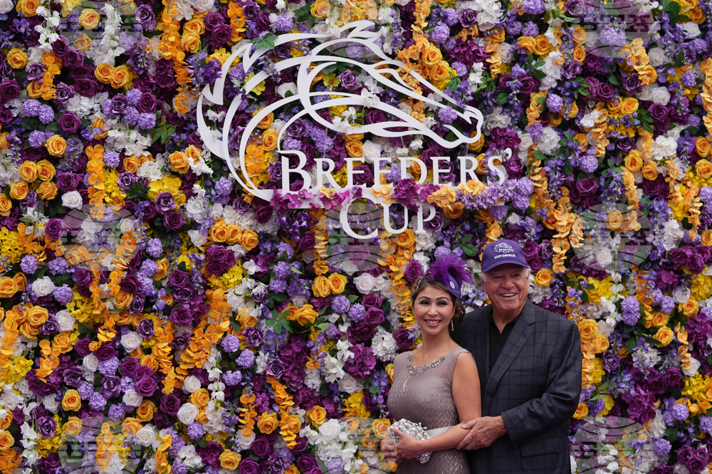 Breeders Cup Horse Racing