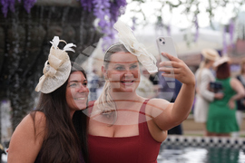 Breeders Cup Horse Racing