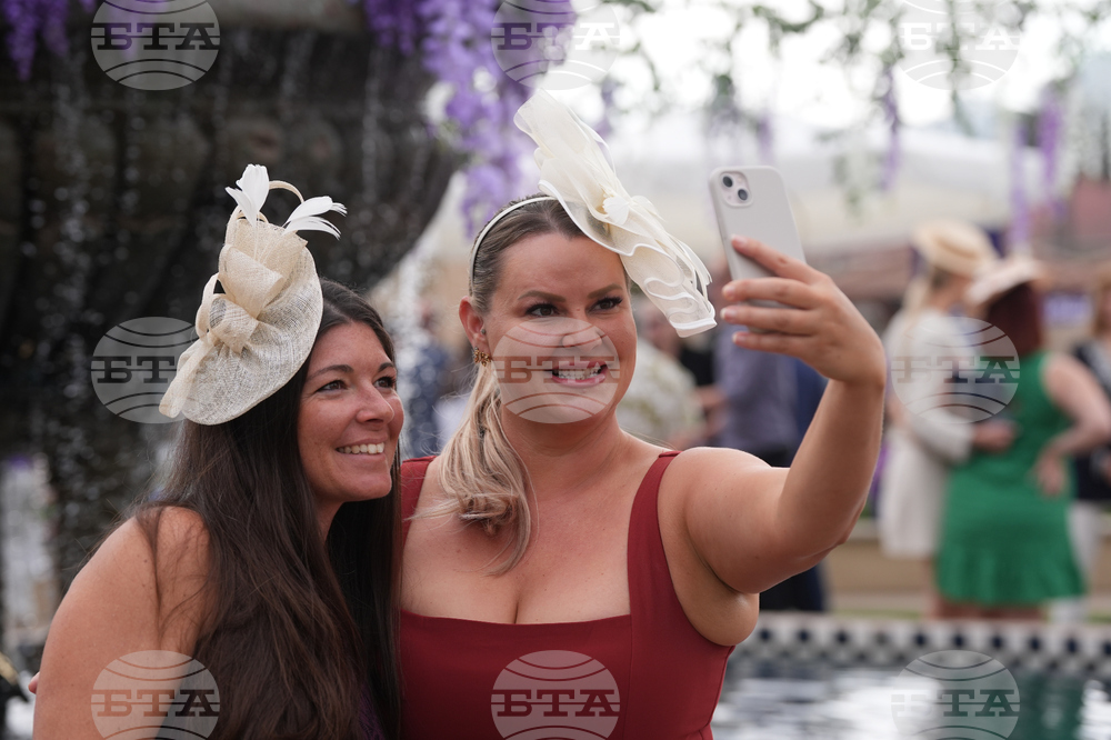 Breeders Cup Horse Racing