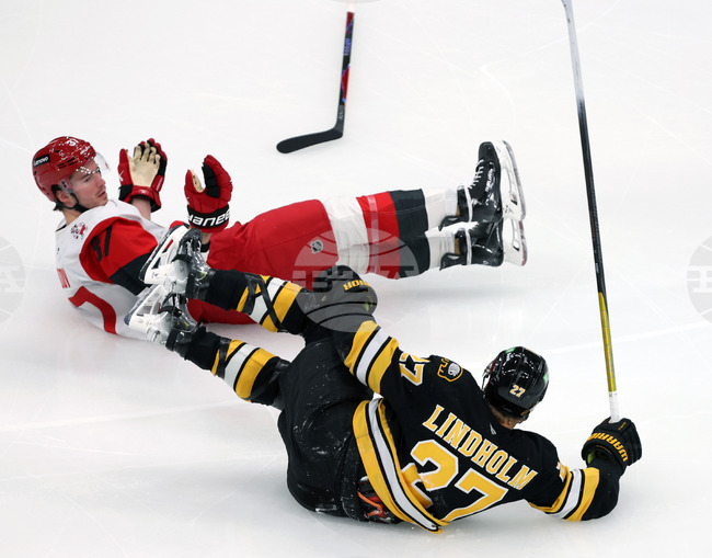 Hurricanes Bruins Hockey