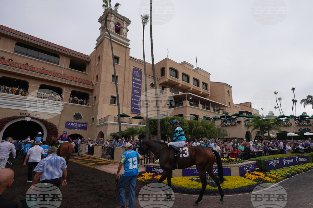Breeders Cup Horse Racing