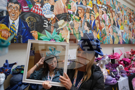 Breeders Cup Horse Racing