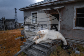 AP Top Photos of the Month October 2025