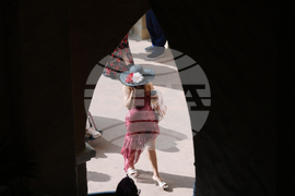 Breeders Cup Horse Racing