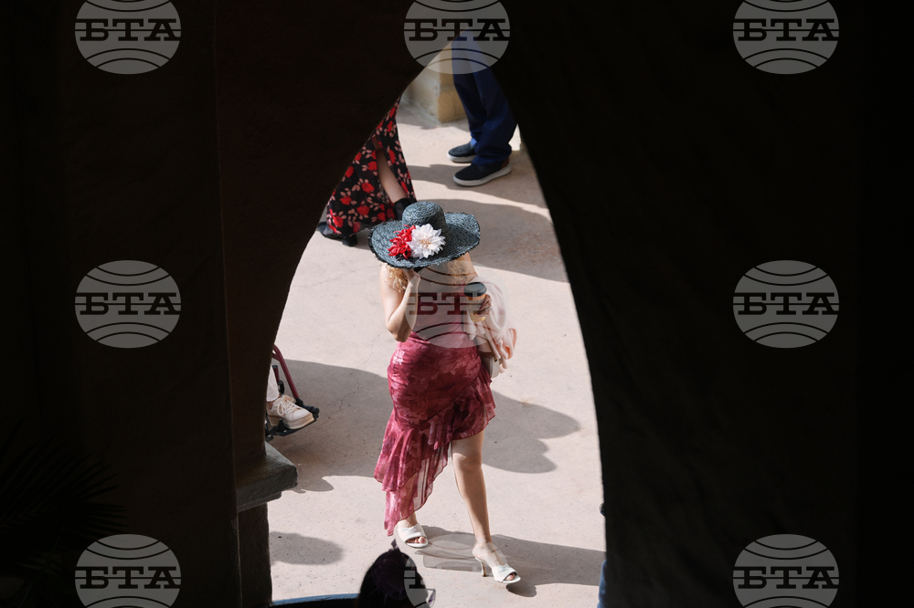 Breeders Cup Horse Racing