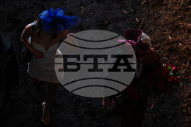 Breeders Cup Horse Racing