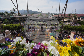 Breeders Cup Horse Racing