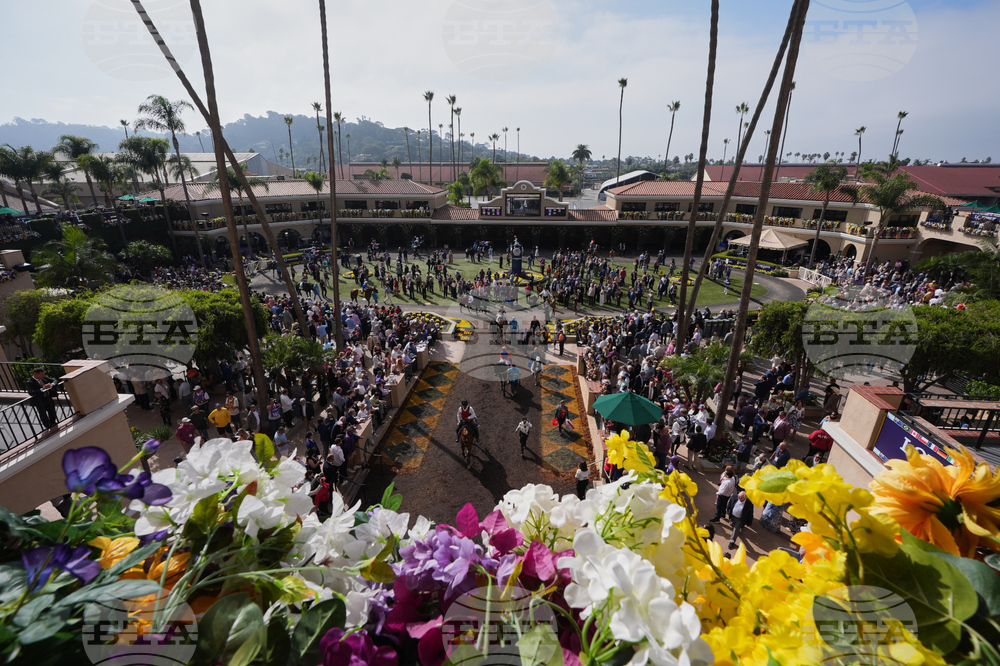 Breeders Cup Horse Racing