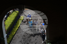 Breeders Cup Horse Racing