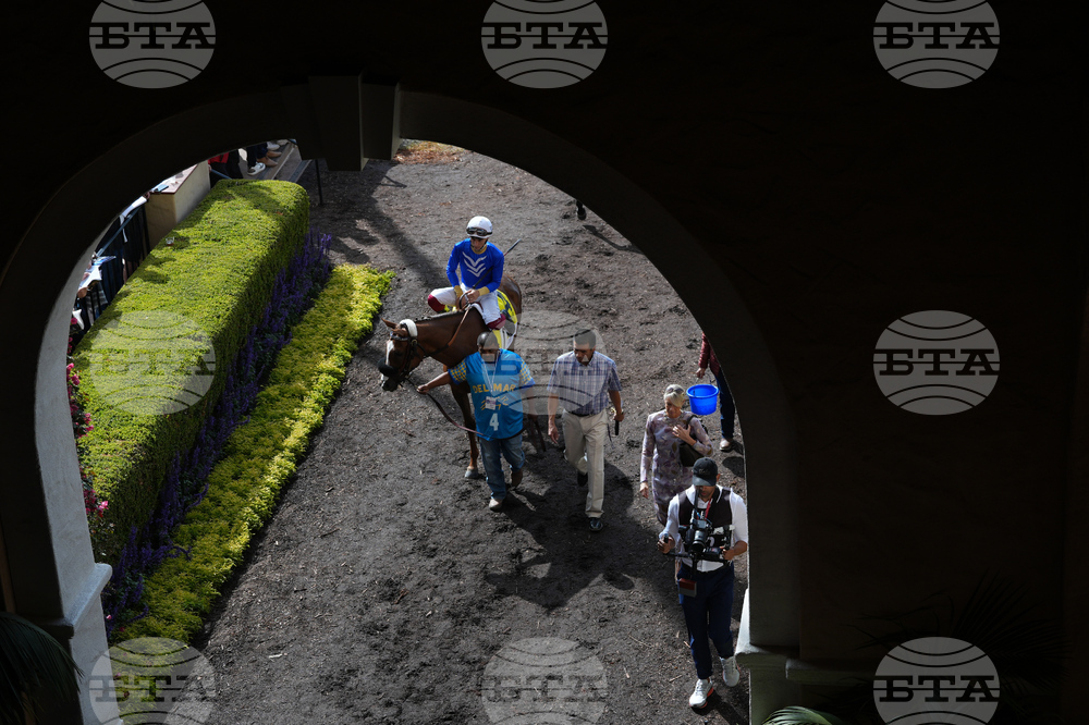 Breeders Cup Horse Racing