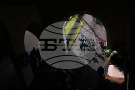 Breeders Cup Horse Racing