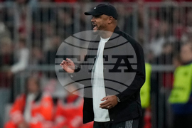 Germany Soccer Bundesliga