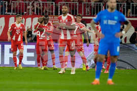 Germany Soccer Bundesliga