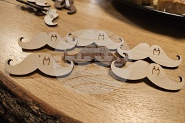 Русе - Мовембър - д-р Румен Котов