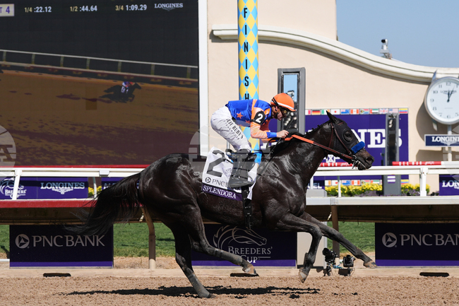 Breeders Cup Filly And Mare Sprint Horse Racing