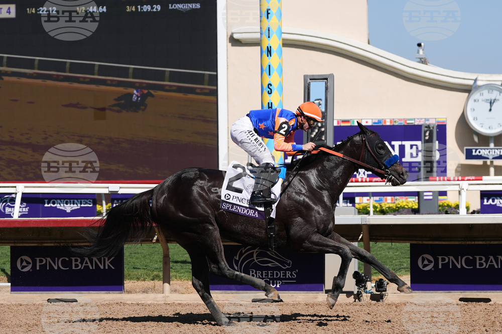 Breeders Cup Filly And Mare Sprint Horse Racing